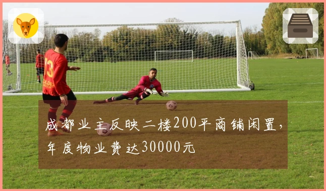 成都业主反映二楼200平商铺闲置，年度物业费达30000元